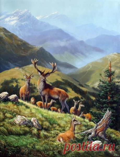 Животный мир. Художник Roberto Bianchi: bezplus