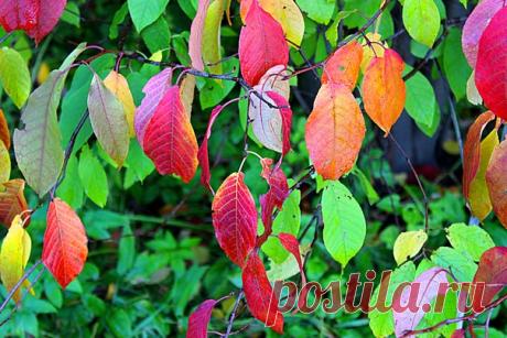 КАКОЙ СЕГОДНЯ ПРАЗДНИК? 20 Сентября 2018 г. – Четверг • День рекрутера17 лет • День устраивания спонтанных чаепитий • Международная ночь летучих мышей • Всемирный день риса68 лет • День общественнополезного человека • День памяти преподобного Макария Оптинского • Всемирный день бестраншейных технологий День таможенника - Беларусь • День Республики - Южная Осетия28 лет • День свободы выражения мыслей - Перу, Венесуэла, Уругвай • День нефтяников - Азербайджан • День молодёжи - Тайланд • День…