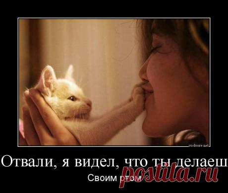 Демотиваторы для взрослых