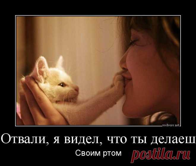 Демотиваторы для взрослых
