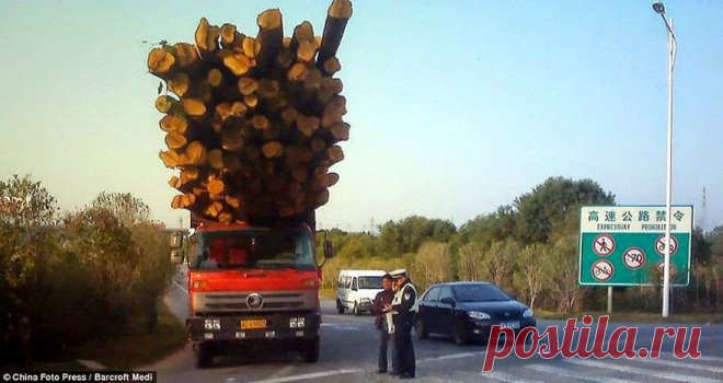 Откуда дровишки?
