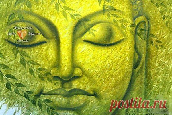 Работа над своим телом. Исцеление. 

Перед сном проведи эксперимент. Расслабься лежа почувствуй каждую клеточку своего тела , не сразу , а по частям. Можно начать например с клеток кожи. Настройся на их вибрации, почувствуй всю кожу на себе, всю целиком. Какая она гладкая, как она покрывает тебя, укрывая от холода и жары. Поблагодари ее за это. Каждую клеточку.

Почувствуй как она растет, как дышит, как образуются новые клетки. Перенеси свое внимание на лицо. Мечта всех же...