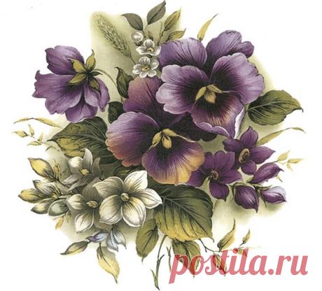 Ирина Сергеева