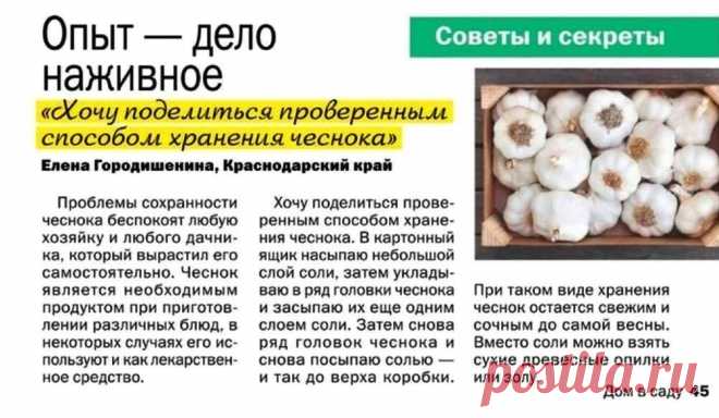 Как хранить чеснок