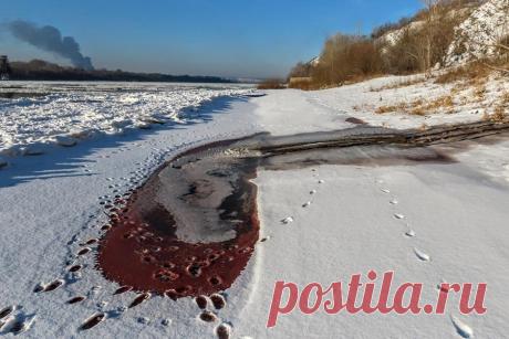 Участок реки Томь в окрестностях Кемерово окрасился в багровый цвет. Участок реки Томь в окрестностях города Кемерово окрасился в багровый цвет.