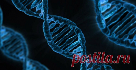 Большинство мужчин Европы происходят от трех древних родов / Новости / Моя Планета