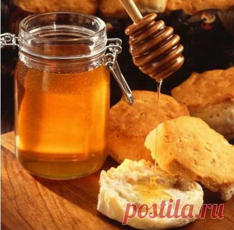 Как отличить натуральный мёд от подделки?