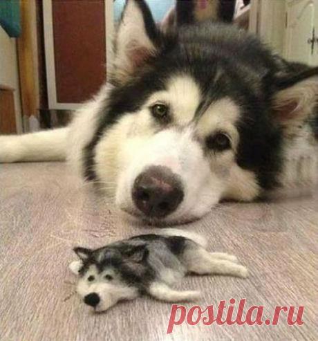 Мой Мир@Mail.Ru