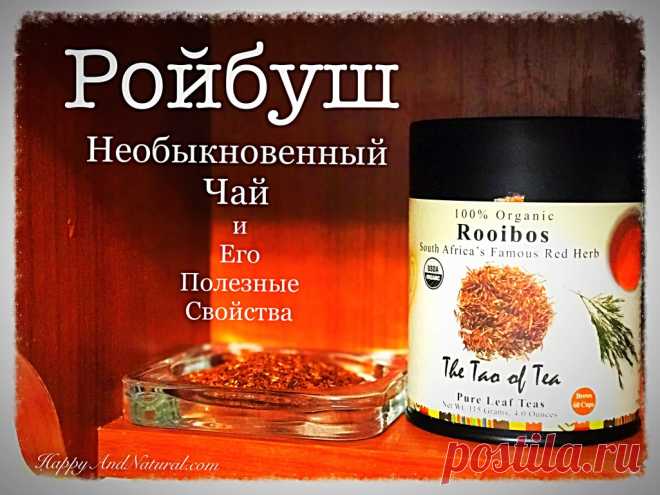Полезные свойства чая Ройбуш - Happy & Natural