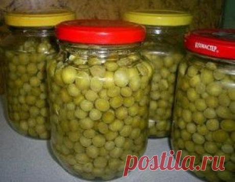 Консервированный зелёный горошек