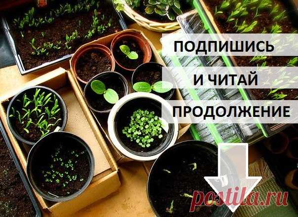 Чтобы почитать продолжение
ПОДПИШИТЕСЬ и ЧИТАЙТЕ под картинкой!