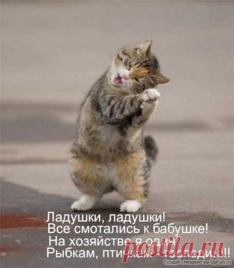 Ладушки