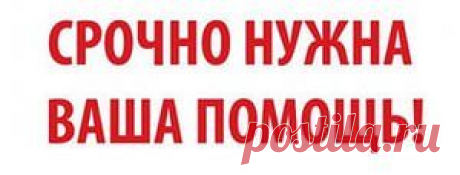 Крик о помощи!