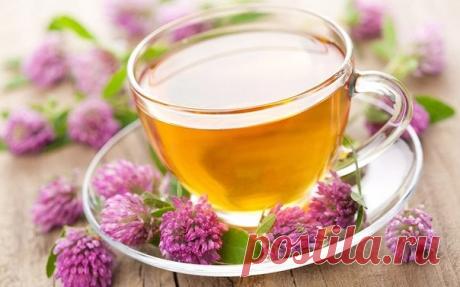 Травяной сбор «Омолаживающий» или Тибетский эликсир молодости