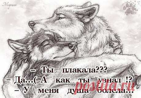 (37) Одноклассники
