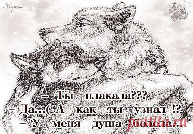 (37) Одноклассники