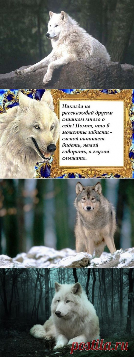 Дорожи только теми, кто дорожит тобой.
