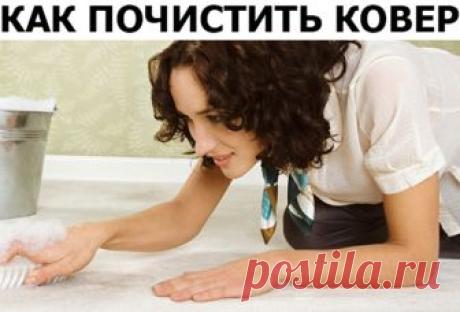 Пролила когда-то моя знакомая кофе на настоящий индийский ковер ручной работы. Благо, свой, не чужой. Потому как было бы ей несдобровать. Однако ковер жалко – дорогой, красивый и к тому же – подарок родителей мужа к свадьбе. Первым делом обратилась в химчистку – а там требуют баснословную сумму и не гарантируют результат. Вторым делом – известный всем ваниш. Да только в интернете слишком много отзывов, о том, что после чистки ковер потерял цвет, вид. Пришлось узнавать боле...