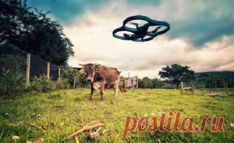 применение беспилотных летательных аппаратов в настоящем и будущем