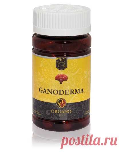Ganoderma
PPT_GL
90 капсул в бутылке
Опыт неразбавленного естественной витальности Organo Gold Ganoderma lucidum. Для захвата преимущества этого замечательного гриба, известного как “сверхъестественное " гриб”, мы берем только самых лучших и качественных органических Ganoderma, выращенных на ненарушенных венцов в Wuyi горы Китая Фучжоу обл. Почитали за тысячи лет в Древней китайской медицине этот гриб теперь удобно упакованы в растительные капсулы, и полны антиоксидантов