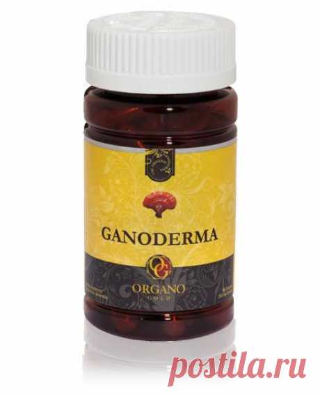 Ganoderma
PPT_GL
90 капсул в бутылке
Опыт неразбавленного естественной витальности Organo Gold Ganoderma lucidum. Для захвата преимущества этого замечательного гриба, известного как “сверхъестественное &quot; гриб”, мы берем только самых лучших и качественных органических Ganoderma, выращенных на ненарушенных венцов в Wuyi горы Китая Фучжоу обл. Почитали за тысячи лет в Древней китайской медицине этот гриб теперь удобно упакованы в растительные капсулы, и полны антиоксидантов