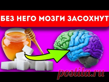Попа за мозг не в ответе!  Почему лишний сахар уходит в бока
