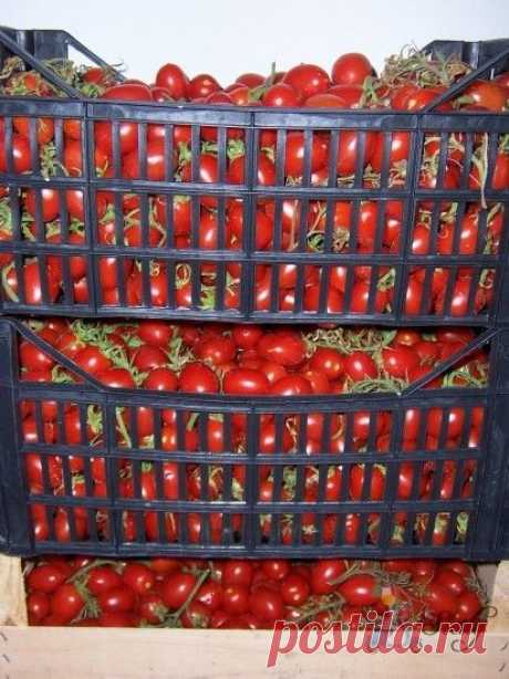 (222) Pinterest: инструмент для поиска и хранения интересных идей
