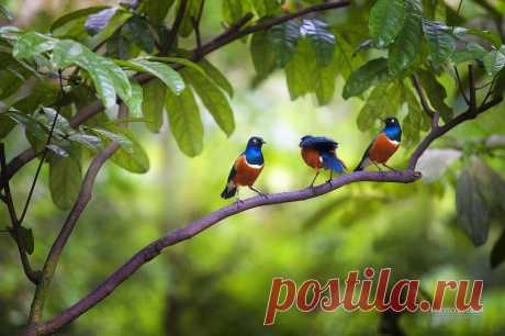 Мой Мир@Mail.Ru