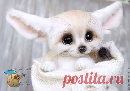 Игрушка Фенек