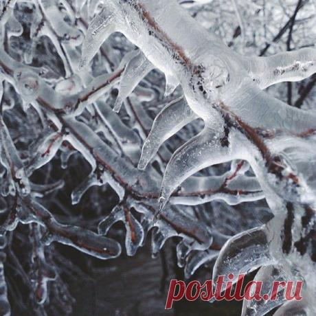 Многообразие и разнообразие

Для жаждущих прохлады
