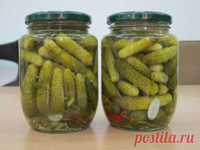 Огурцы маринованные с коньяком: они станут любимой консервацией | Вкусно каждый день | Яндекс Дзен