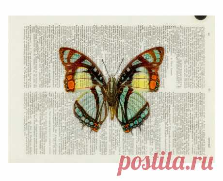 Принт на страницах "Бабочки-Цветочки"
