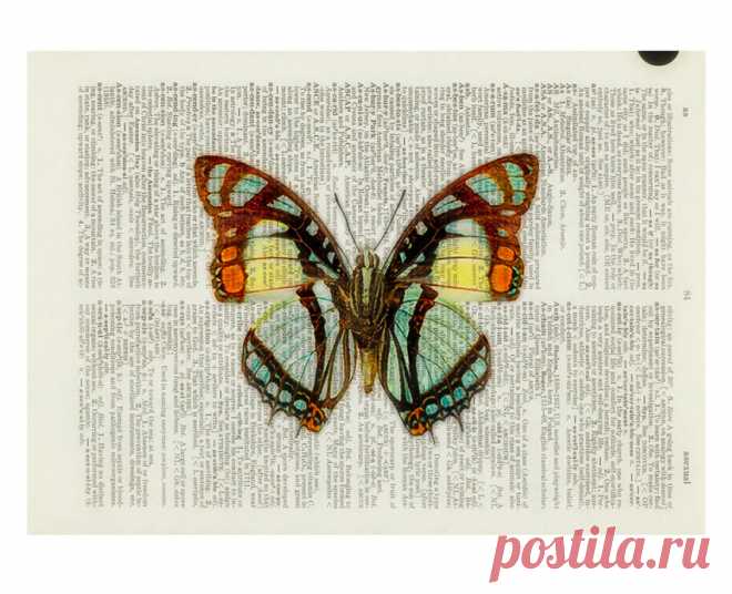 Принт на страницах 