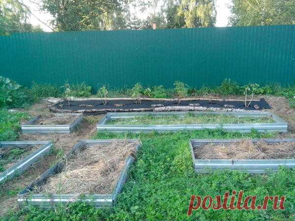 Ограждения для грядок: зачем, из чего и как