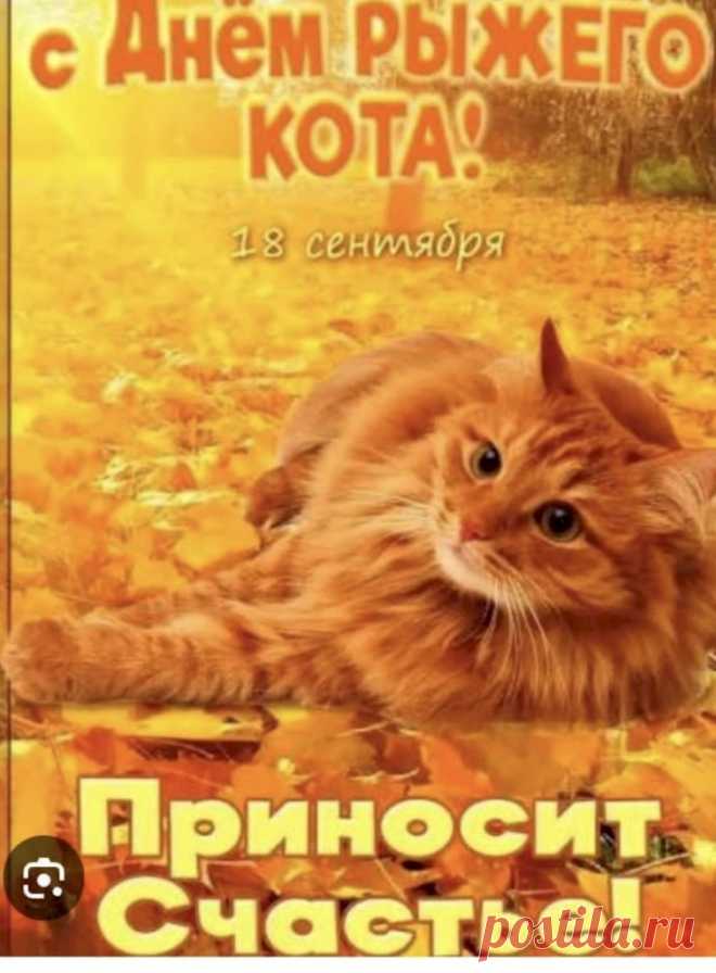 f99c7d7b.jpg (754×1024)