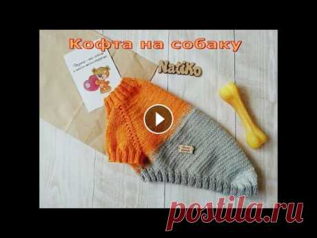 Кофта на йорка, шпица, чихуахуа,той терьера Кофта для собаки маленькой породы. Старалась подробнее рассказать и показать на видео, чтобы даже новичок справился. Этот мастер класс рассчитан на вс...