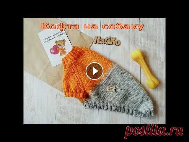 Кофта на йорка, шпица, чихуахуа,той терьера Кофта для собаки маленькой породы. Старалась подробнее рассказать и показать на видео, чтобы даже новичок справился. Этот мастер класс рассчитан на вс...