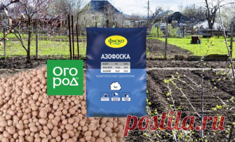 Азофоска (нитроаммофоска) | Удобрения и грунты (Огород.ru)