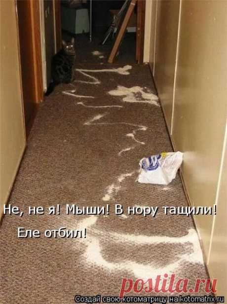 Котоматрица: Главная