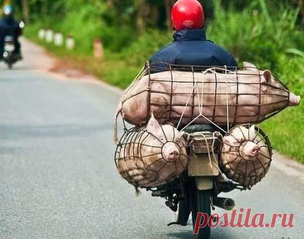 Народные умельцы... / Интересное в IT