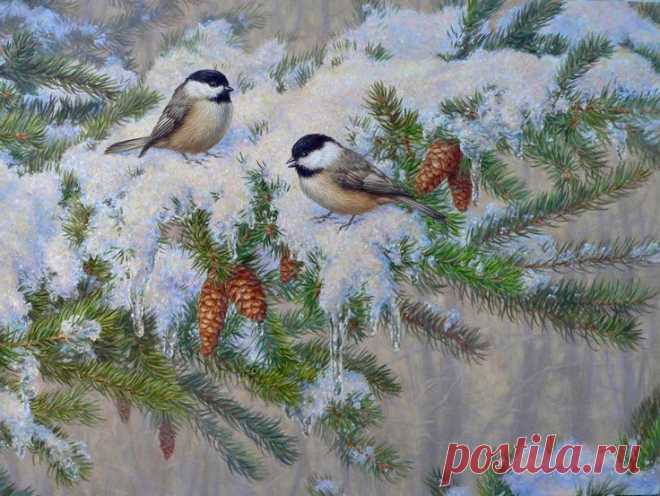Beth Hoselton
Crista Forest Wildlife Art приколол(а) это к доске Art - Birds | Pint…