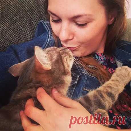 (15) Поймут только те, у кого есть кот... ) - ДОСТОЙНАЯ ЖИЗНЬ НА ПЕНСИИ - медиаплатформа МирТесен