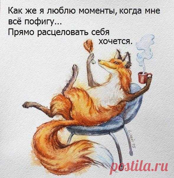 Без комментария