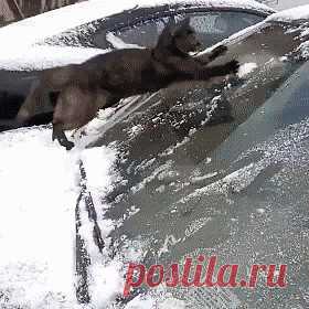 Зима - это весело!Одноклассники