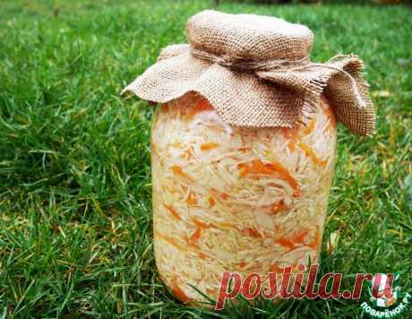 Квашеная капуста в банке – кулинарный рецепт