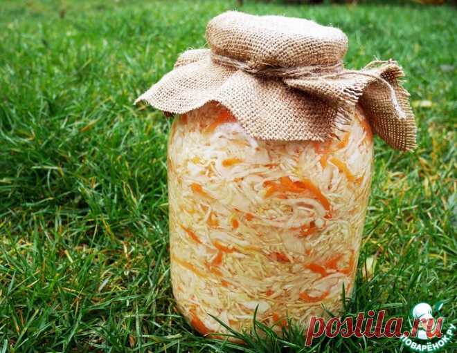 Квашеная капуста в банке – кулинарный рецепт