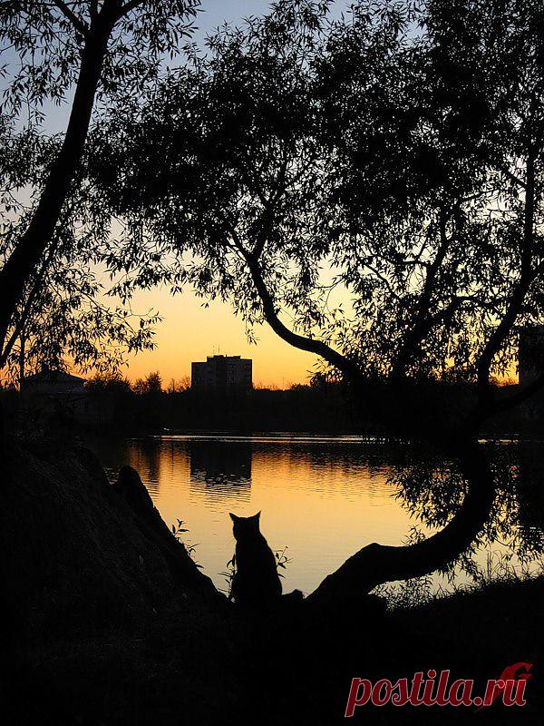 Grimmmy — «В РАЗДУМЬЕ» на Яндекс.Фотках