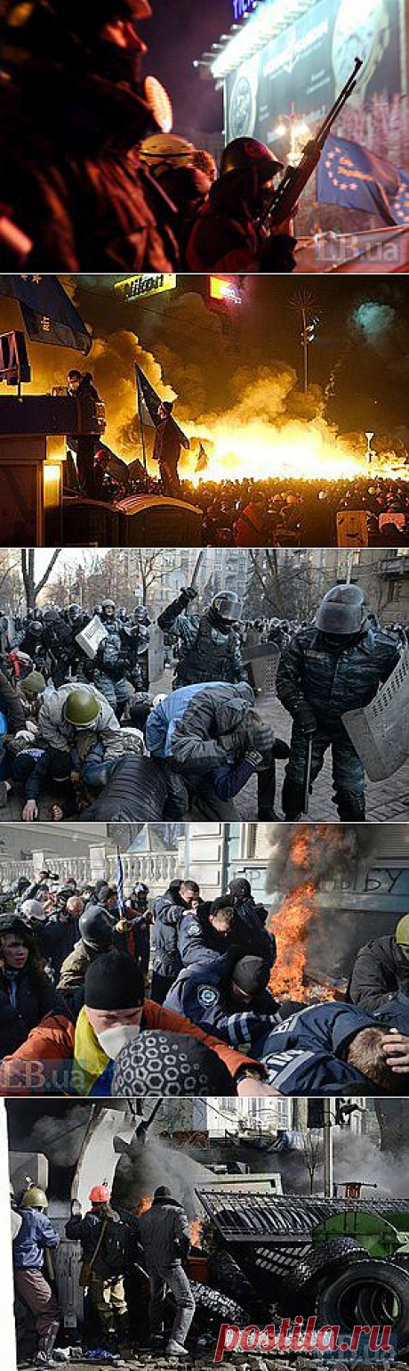 Число погибших активистов возросло до 20 - Количество раненных активистов – 500 человек. - LB.ua