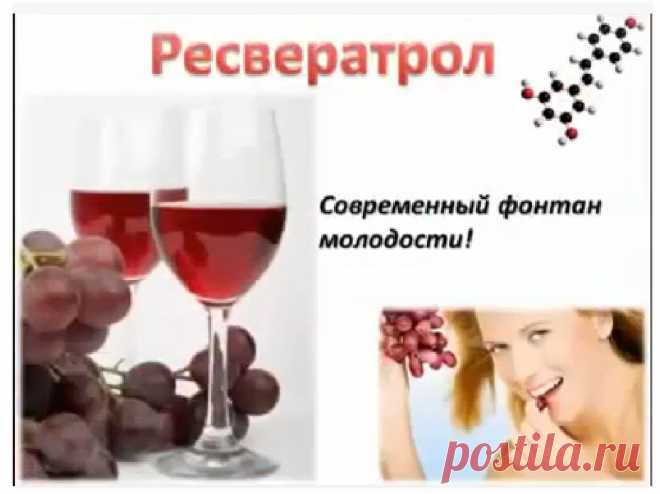 Основные ингредиенты Продукта Брейн Фул Плюс:
Ресвератрол
улучшает циркуляцию крови к мозгу и потенциально улучшает здоровье мозга. защищает наш мозг и нервную систему снижение уровня инсулина, что является ключом к борьбе с сахарным диабетом.