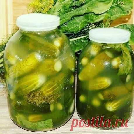 РЕЦЕПТ СОЛЕНЫХ ОГУРЦОВ 

Сейчас я напишу старинный рецепт соленых огурцов, так делала моя мама и бабушка. 
 
Огурцы складываем в 3ёх л. банку, не забываем на дно укроп, смород.листья, хрен листья, перец горошком, чеснок. Кладётся столько, как ваша душа пожелает. 100гр соли высыпаете в банку и заливаете холодной водой. Прикрыв крышкой убираете на 3 дня киснуть. На 3ий день сливаете рассол в кастрюлю и кипятите. Вскипел - залили эти же огурцы и под п/э крышку.хранится где уг...